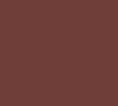 Cambro 1216501 Camtray Rectangular Tray, 12" x 16-5/16", Brown Fiberglass, Dishwasher Safe, NSF — Case of 12 pieces
