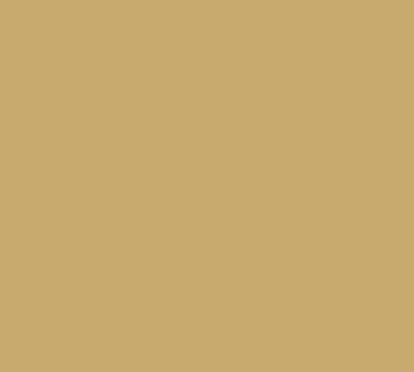 Cambro 1826514 Rectangular Tray, 17-7/8" x 25-3/4" Gold Fiberglass, NSF-Listed, Dishwasher Safe — Case of 6 pieces