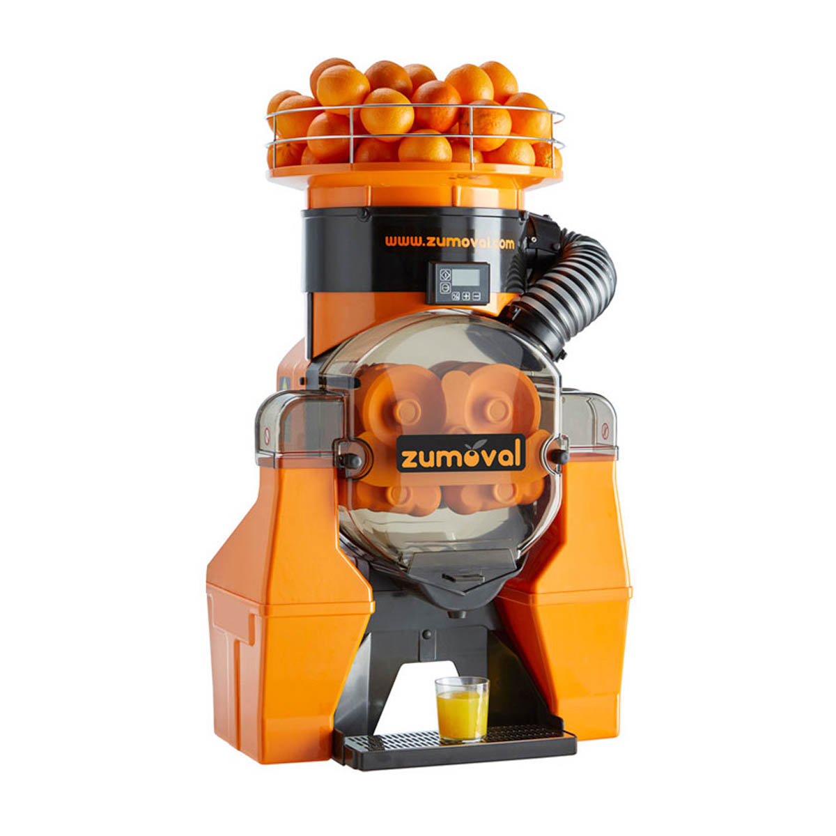 Omcan 40531 Automatic Feed Zumoval Citrus Juicer, 45 Oranges/Min-39 lbs Feeder | plastic housing