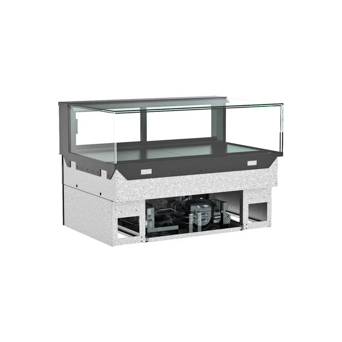 Structural Concepts NE4813RSV 48" Reveal® Full Service Refrigerated Slide In Counter Case