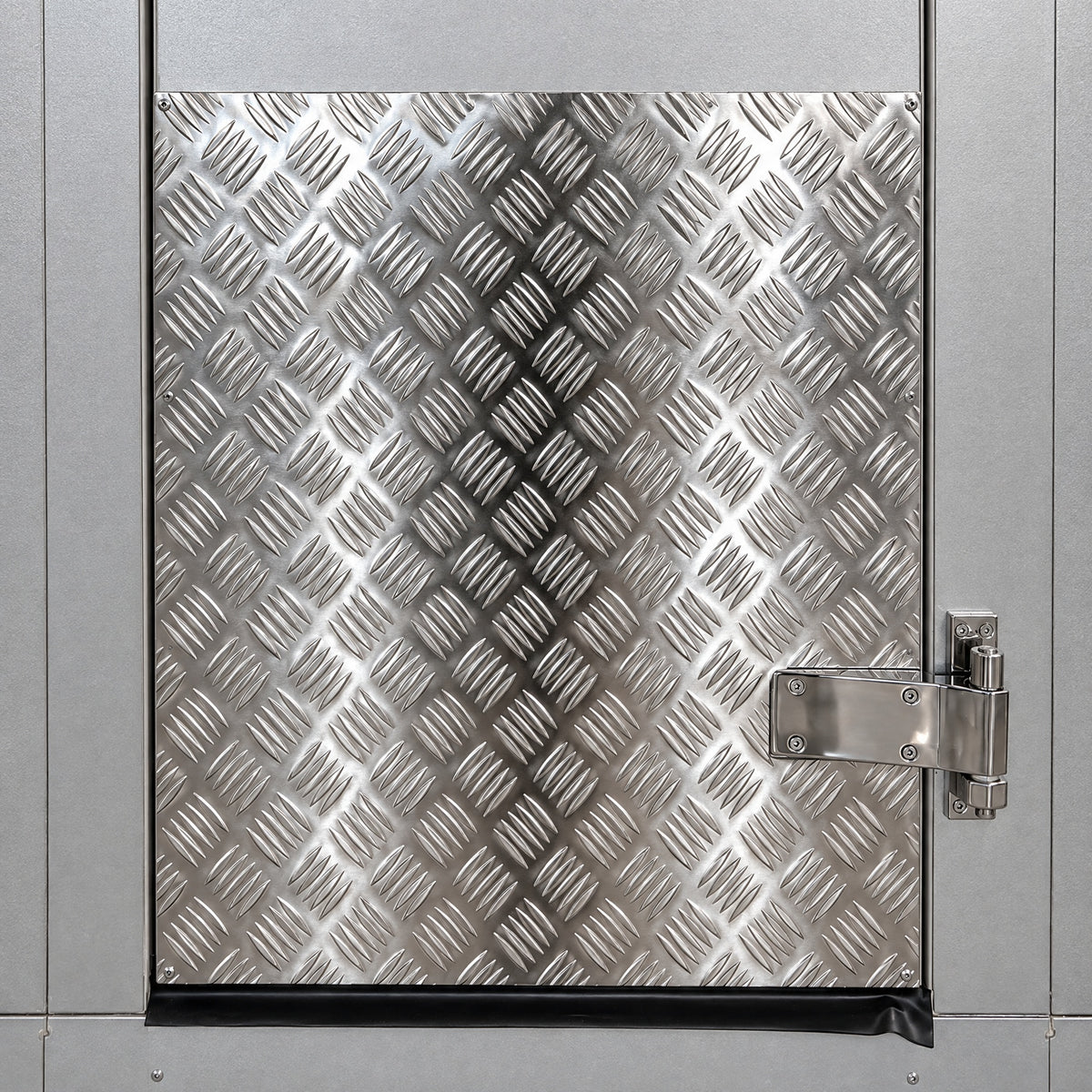 Astra Premium walk-in, diamond plate kick plate, lower hinge and door sweep