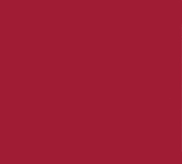 Cambro 1520H221 Camtray Rectangular Serving Tray, 15" x 20", Red Fiberglass, NSF, USA — Case of 12 pieces