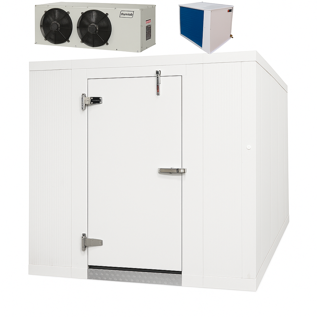 Astra 6 x 6 Walk-In Freezer with Floor and Remote Refrigeration
