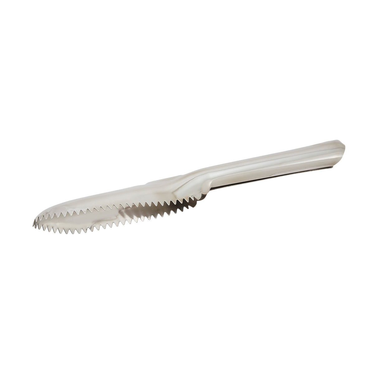Winco FSP-9 NSF 9 1/2" Fish Scaler, Stainless Steel